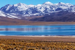 Highland Lakes Miscanti And Miniques, Hidden Among Volcanoes In Los Flamencos National Reserve, Atacama Desert, Chile, South Stock Photography