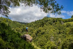 Hiker in green landscape, trees and hills, Azores islands