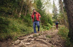 Hikers идя вниз с следа в лесе Стоковое фото RF