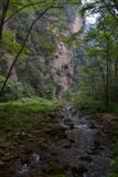 Hiking around the park in Wulingyuan scenic area. Greenies every royalty free stock image Hiking around the park in Wulingyuan scenic area. Greenies every royalty free stock image