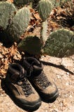 Hiking Boots And Cactus Stock Photo Hiking Boots And Cactus Stock Photo