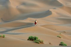 Hiking In Desert Stock Photography