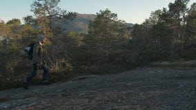 Hiking man walking uphill. Male tourist trekking walking outdoors on a trail in summer. Beautiful summer sunset. Hiker stock footage Hiking man walking uphill. Male tourist trekking walking outdoors on a trail in summer. Beautiful summer sunset. Hiker stock footage