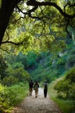 Hiking scene. Three young hikers walking down a scenic trail Hiking scene. Three young hikers walking down a scenic trail