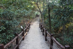 Hiking Trail - Hong Kong stock photo Hiking Trail - Hong Kong stock photo