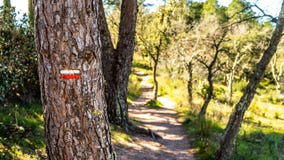 Hiking trail to red rocks of roquebrune, france