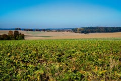 Hill landascape κακό Wimpfen, Γερμανία Αποκαλούμενο δρόμος Burchstrasse στοκ εικόνες Hill landascape κακό Wimpfen, Γερμανία Αποκαλούμενο δρόμος Burchstrasse στοκ εικόνες