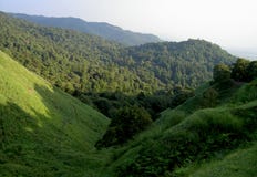 Hills Hills