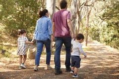 Hintere Ansicht der Familie gehend entlang Weg durch Forest Together lizenzfreies stockfoto Hintere Ansicht der Familie gehend entlang Weg durch Forest Together lizenzfreies stockfoto