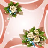 Hintergrund mit schönen weißen Rosen stock abbildung Hintergrund mit schönen weißen Rosen stock abbildung