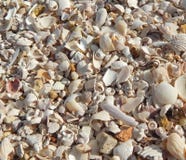 Hintergrund von defekten Oberteilen setzen Thema auf den Strand stockfoto Hintergrund von defekten Oberteilen setzen Thema auf den Strand stockfoto