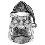 Hipopótamo, hipopótamo, gigante, chapéu vestindo de Santa Claus do Natal do rio-cavalo Imagem tirada mão para a tatuagem, emblema ilustração do vetor Hipopótamo, hipopótamo, gigante, chapéu vestindo de Santa Claus do Natal do rio-cavalo Imagem tirada mão para a tatuagem, emblema ilustração do vetor