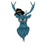 Hipster Stag Stock Image Hipster Stag Stock Image
