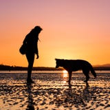 Hipsterflicka som spelar med hunden på en strand under solnedgång arkivbild Hipsterflicka som spelar med hunden på en strand under solnedgång arkivbild