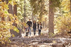 Hispanic family of four walking together in a forest stock photography Hispanic family of four walking together in a forest stock photography