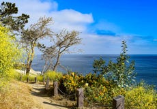 Historic Coast Walk at La Jolla Cove in San Diego, California. royalty free stock image Historic Coast Walk at La Jolla Cove in San Diego, California. royalty free stock image