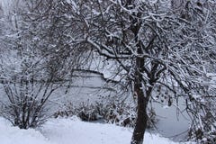 hiver par D_W_Sasuke_Sakura image libre de droits hiver par D_W_Sasuke_Sakura image libre de droits
