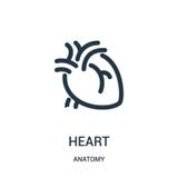 hjärtasymbolsvektor från anatomisamling Tunn linje illustration för vektor för hjärtaöversiktssymbol Linjärt symbol för bruk på r vektor illustrationer hjärtasymbolsvektor från anatomisamling Tunn linje illustration för vektor för hjärtaöversiktssymbol Linjärt symbol för bruk på r vektor illustrationer