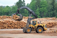 HL do carregador do log de Volvo L180F que segura logs fotos de stock HL do carregador do log de Volvo L180F que segura logs fotos de stock