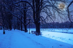 Hoarfrost On A Winter Night Royalty Free Stock Photo