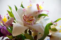 Hochzeitsblumenstrau? mit Ringen stockfotos Hochzeitsblumenstrau? mit Ringen stockfotos