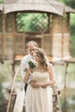 Hochzeitspaare, die an der Brücke umarmen und küssen lizenzfreies stockbild Hochzeitspaare, die an der Brücke umarmen und küssen lizenzfreies stockbild
