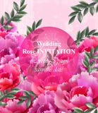 Hochzeitsrosen Einladungs-Vektor Schöner Rosenblumendekor Elegante Dekorweinlesehintergründe Stockfotos Hochzeitsrosen Einladungs-Vektor Schöner Rosenblumendekor Elegante Dekorweinlesehintergründe Stockfotos