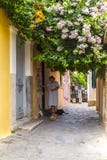 Hogere dame die de straatkatten in de smalle straten van Plaka-district in Athene voedt royalty-vrije stock foto Hogere dame die de straatkatten in de smalle straten van Plaka-district in Athene voedt royalty-vrije stock foto