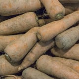 Hohe Winkelsicht von staubigen Karotten lizenzfreies stockbild Hohe Winkelsicht von staubigen Karotten lizenzfreies stockbild