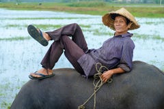 Hoi An/Vietnam, 11/11/2017: Lokaler vietnamesischer Mann mit dem Reishut, der/liegend auf der Rückseite eines Wasserbüffels in a lizenzfreie stockbilder Hoi An/Vietnam, 11/11/2017: Lokaler vietnamesischer Mann mit dem Reishut, der/liegend auf der Rückseite eines Wasserbüffels in a lizenzfreie stockbilder