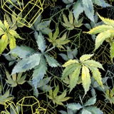 Hoja verde del cáñamo Follaje floral del jardín botánico de la planta de la hoja Modelo inconsútil del fondo imágenes de archivo libres de regalías Hoja verde del cáñamo Follaje floral del jardín botánico de la planta de la hoja Modelo inconsútil del fondo imágenes de archivo libres de regalías