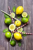 Hojas de menta fresca con la cal y el limón para preparar mojito imágenes de archivo libres de regalías Hojas de menta fresca con la cal y el limón para preparar mojito imágenes de archivo libres de regalías