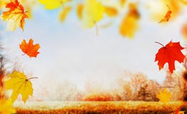Hojas que caen del otoño en fondo del jardín o del parque de la naturaleza con el césped, cielo y follaje colorido de los árboles Imagen de archivo Hojas que caen del otoño en fondo del jardín o del parque de la naturaleza con el césped, cielo y follaje colorido de los árboles Imagen de archivo