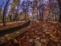 Hojas secas en otoño por motivo de un parque y de un prado de riego imagenes de archivo Hojas secas en otoño por motivo de un parque y de un prado de riego imagenes de archivo