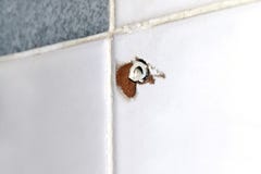 Hole of expansion bolt old at tile wall, old plastic anchors for dowels screws, anchor bolt hole screws on tile, defective royalty free stock images Hole of expansion bolt old at tile wall, old plastic anchors for dowels screws, anchor bolt hole screws on tile, defective royalty free stock images