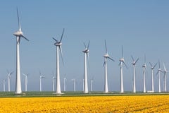 Holenderska ziemia uprawna z żółtymi tulipanów śródpolnymi i dużymi windturbines Obrazy Stock Holenderska ziemia uprawna z żółtymi tulipanów śródpolnymi i dużymi windturbines Obrazy Stock