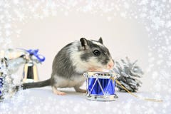 Holiday Mouse Royalty Free Stock Image Holiday Mouse Royalty Free Stock Image
