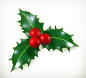 Holly, Christmas decoration royalty free illustration Holly, Christmas decoration royalty free illustration