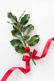 Holly Leaves And Berries Stock Images Holly Leaves And Berries Stock Images