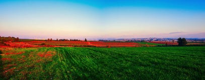 Holy Land Series-Central Israel Panorama Royalty Free Stock Photos Holy Land Series-Central Israel Panorama Royalty Free Stock Photos