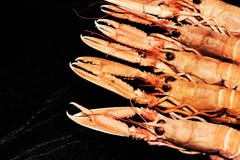 Homards de Norvège cuits sur l'ardoise noire images libres de droits Homards de Norvège cuits sur l'ardoise noire images libres de droits