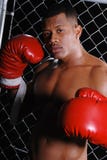 Hombre del boxeador. foto de archivo libre de regalías Hombre del boxeador. foto de archivo libre de regalías