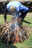 Hombre joven del Fijian que hace el fuego caliente para la celebración tradicional de Lovo, Fiji, 2015 fotografía de archivo libre de regalías Hombre joven del Fijian que hace el fuego caliente para la celebración tradicional de Lovo, Fiji, 2015 fotografía de archivo libre de regalías