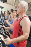 Hombre que se ejecuta en la rueda de ardilla en la gimnasia imagenes de archivo Hombre que se ejecuta en la rueda de ardilla en la gimnasia imagenes de archivo