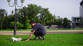 Homem africano considerável novo que joga com o cachorrinho no parque que corre junto na grama verde O cão pequeno produz Jack filme Homem africano considerável novo que joga com o cachorrinho no parque que corre junto na grama verde O cão pequeno produz Jack filme