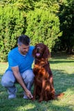 Homem com o setter irlandês vermelho no passeio no parque no verão Fotografia de Stock Homem com o setter irlandês vermelho no passeio no parque no verão Fotografia de Stock