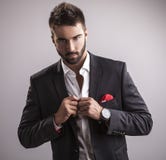 Homem considerável novo elegante. Retrato da forma do estúdio. fotografia de stock royalty free Homem considerável novo elegante. Retrato da forma do estúdio. fotografia de stock royalty free