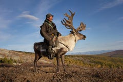 Homem idoso do Mongolian que monta uma rena fotografia de stock Homem idoso do Mongolian que monta uma rena fotografia de stock
