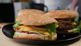 Homemade burger. Food, dish. stock image Homemade burger. Food, dish. stock image