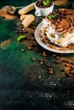 Homemade dessert tiramisu on plate royalty free stock photos Homemade dessert tiramisu on plate royalty free stock photos
